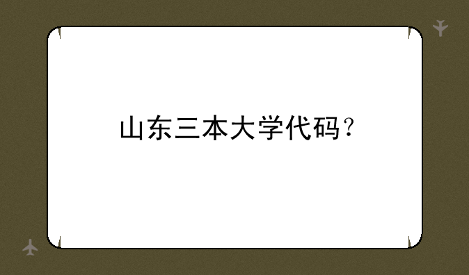 山东三本大学代码？