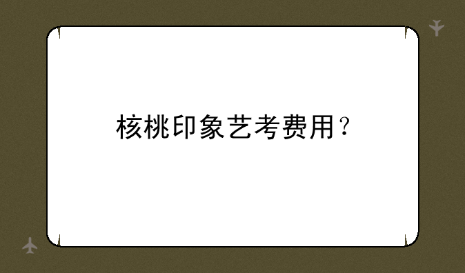 核桃印象艺考费用？