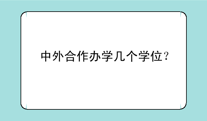中外合作办学几个学位？