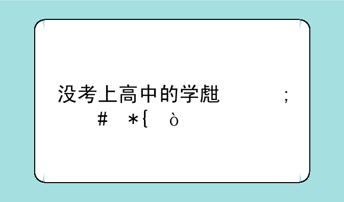 没考上高中的学生怎么办？