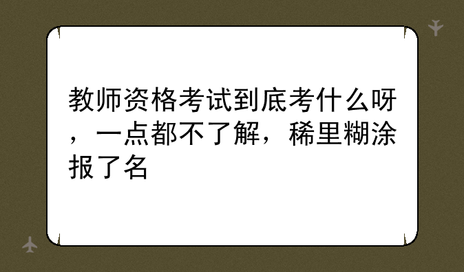 教师资格考试到底考什么呀，一点都不了解，稀里糊涂报了名